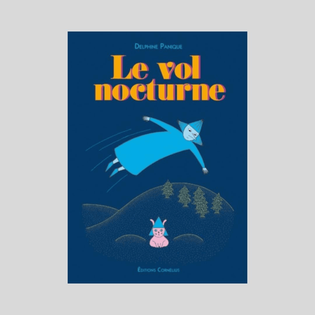 LE VOL NOCTURNE, Delphine Panique